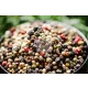 Mixed pepper