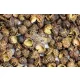Manília Zöld Sansho bors - prémium japán citrusos fűszer