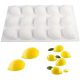 15 részes citrom formájú szilikon forma 