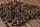 Black pepper