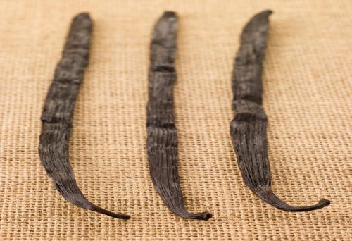 Vanuatu vanilla pods