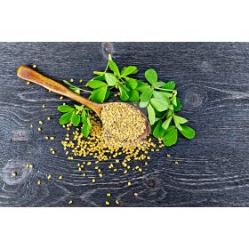 Prémium Görögszéna mag 100g/csomag (Uganda)