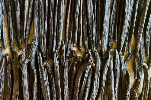 Tahiti vaníliarúd 2 szál /csomag