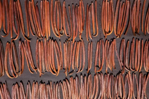 Tahiti vaníliarúd 2 szál /csomag