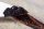Madagascar vanilla seeds