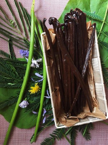 Mexican vanilla pods